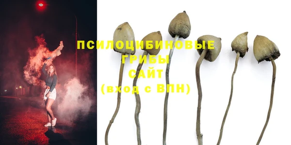 эйфоретик Заводоуковск