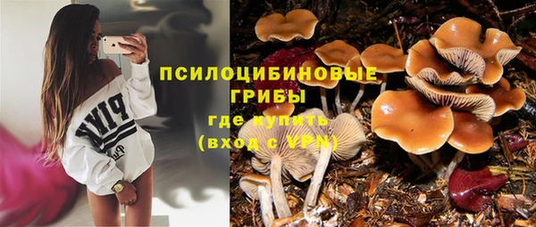 эйфоретик Заводоуковск