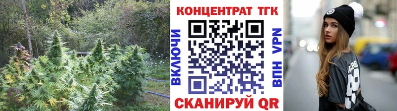 Купить где  Тюкалинск  ТГК Wax 